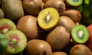 Ein Haufen Kiwis, einige ganz, andere aufgeschnitten, zeigen ihr grünes und gelbes Fruchtfleisch. Diese Früchte sind eine natürliche Quelle für Melatonin.