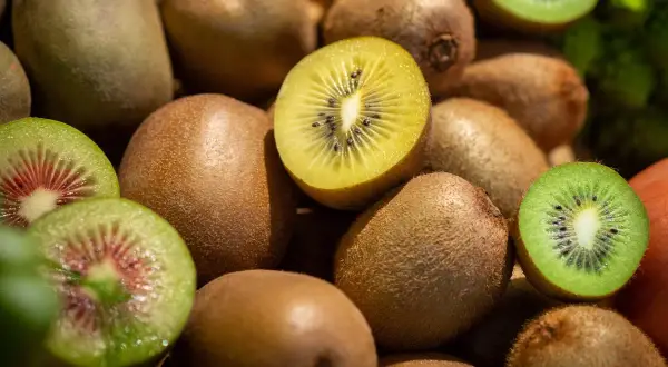 Ein Haufen Kiwis, einige ganz, andere aufgeschnitten, zeigen ihr grünes und gelbes Fruchtfleisch. Perfekt für einen gesunden Snack vor dem Schlafen.