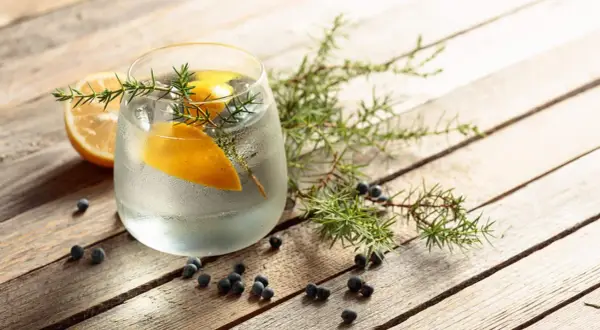 Erfrischendes Getränk mit Zitrone und Wacholder. Auch in der Schwangerschaft kann man sich mit einem alkoholfreien Tonic Water erfrischen.