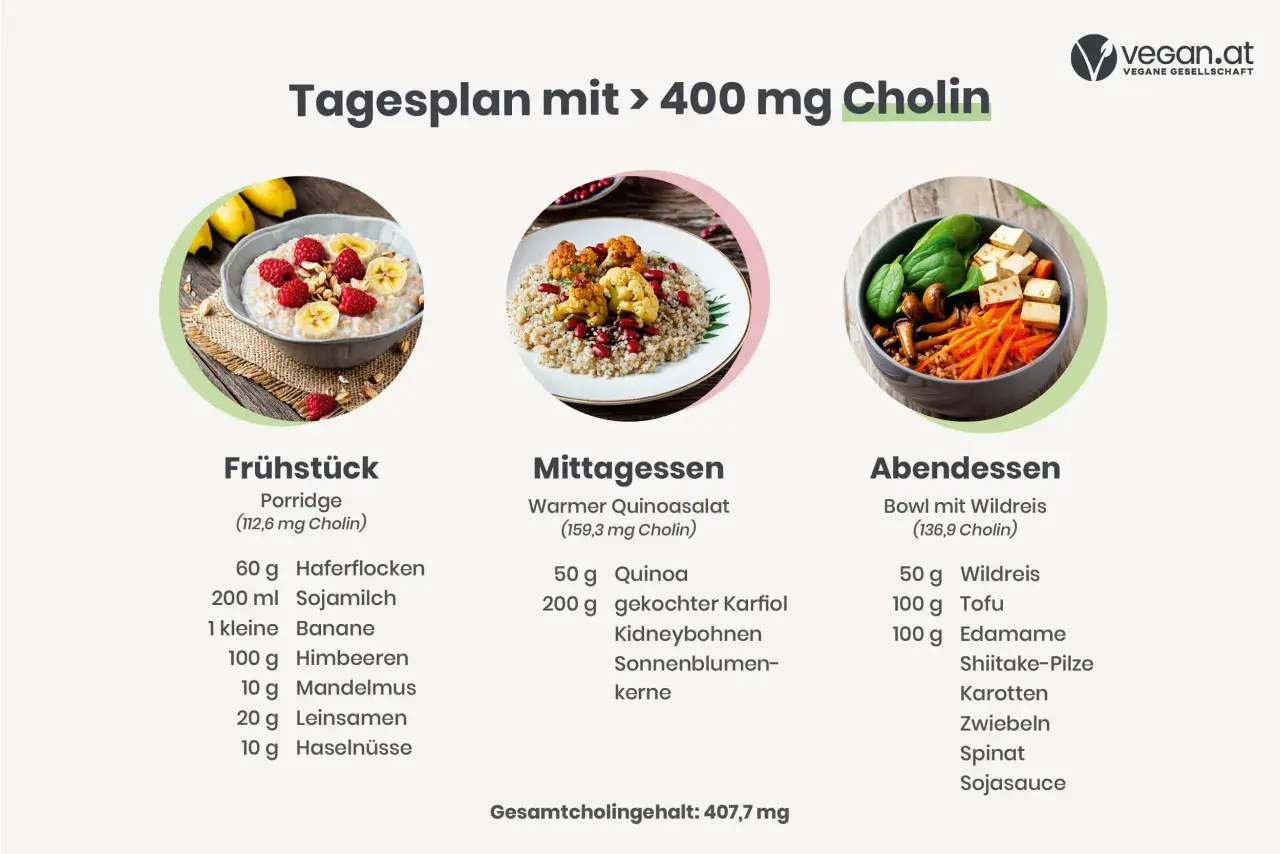 Tagesplan mit über 400 mg Cholin, wichtig für die Schwangerschaft. Enthält Frühstück, Mittag- und Abendessen mit veganen Rezepten.