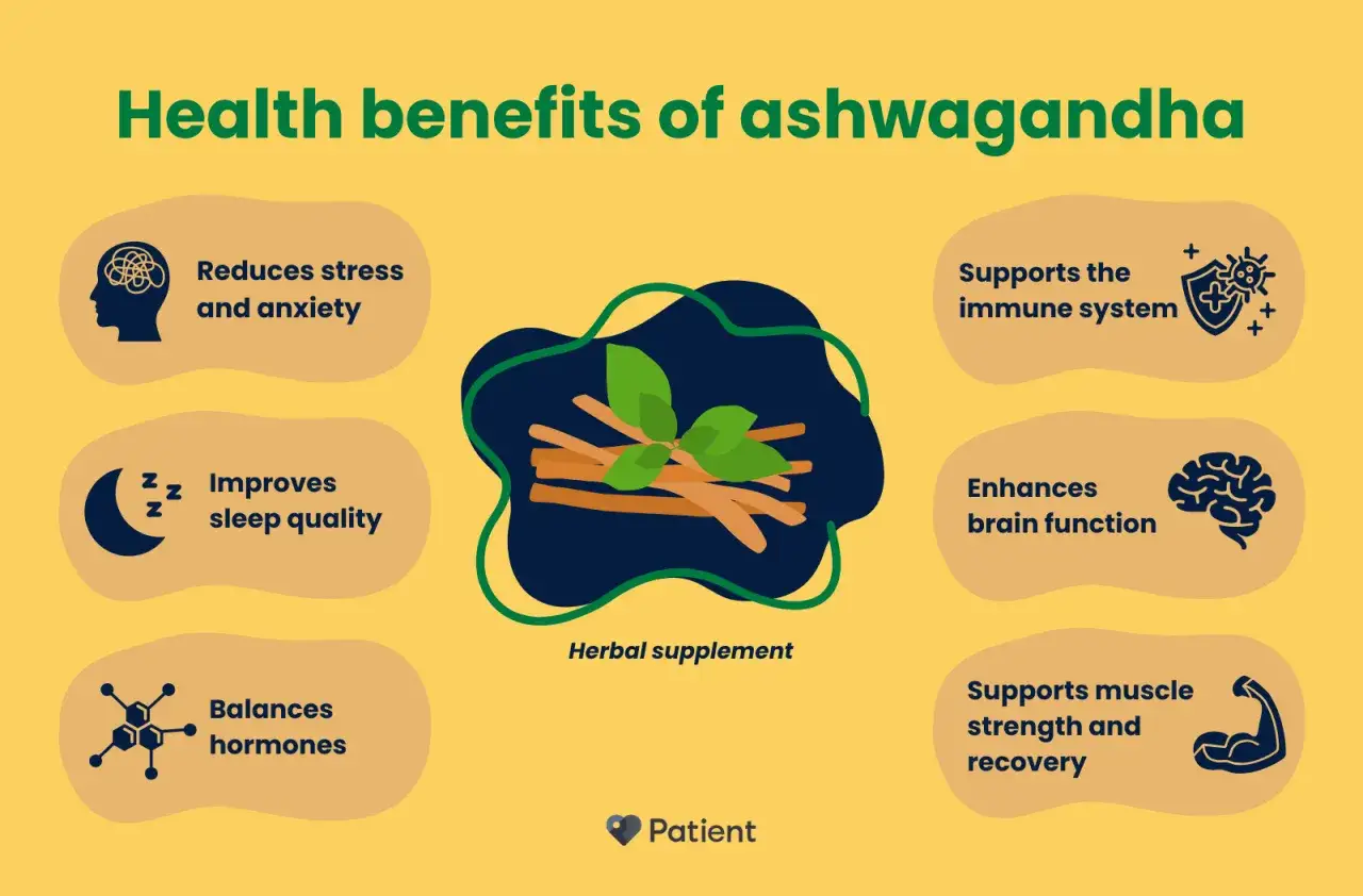 Ashwagandha hilft bei Stress, Schlaf, Immunsystem, Gehirnfunktion, Hormonen und Muskeln.