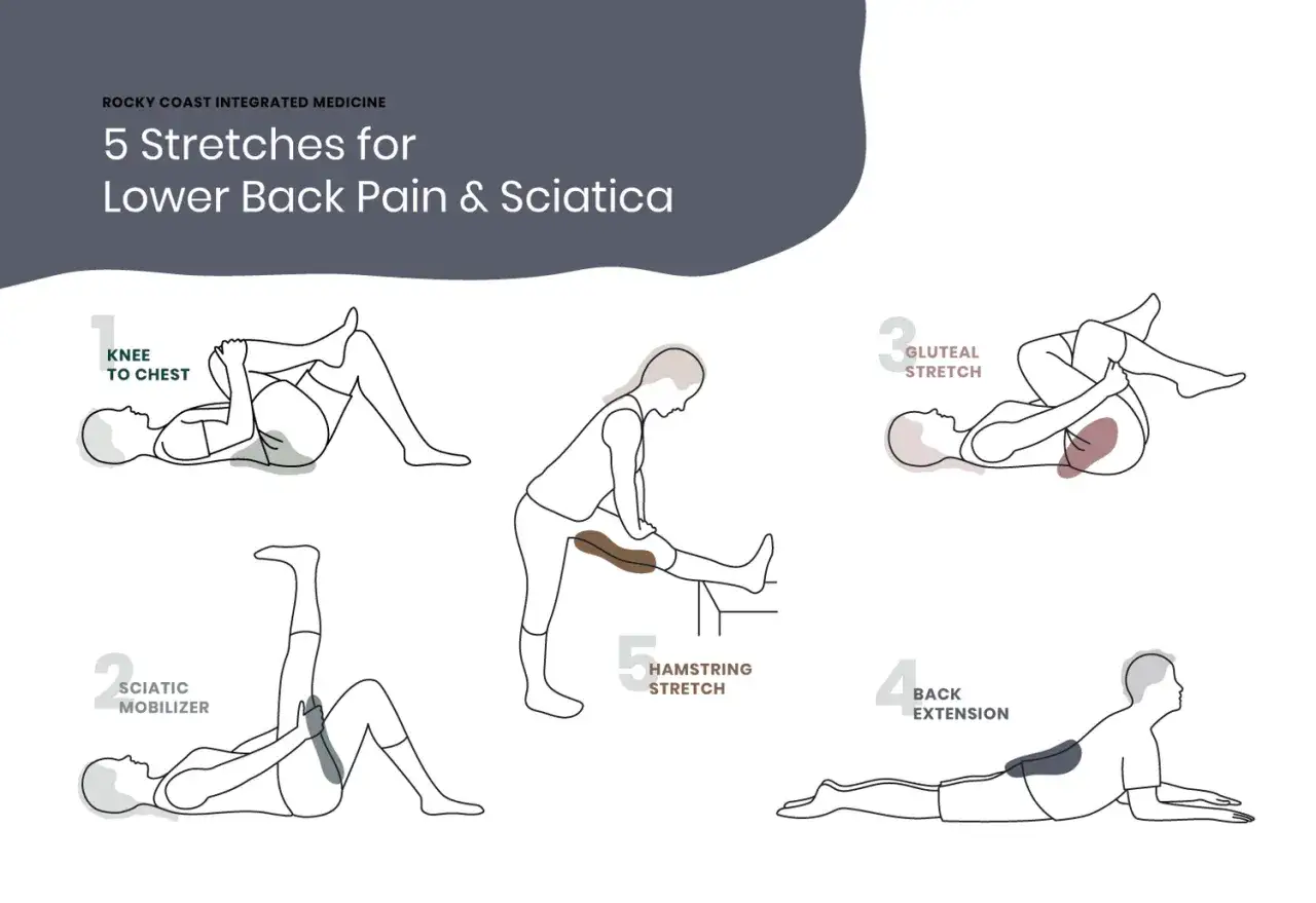 5 Dehn&uuml;bungen f&uuml;r R&uuml;ckenschmerzen & Ischias: Knie zur Brust, Ischias-Mobilisierung, Ges&auml;&szlig;dehnung, R&uuml;ckenstreckung, Hamstring-Dehnung. So tun Sie etwas bei Ischias.