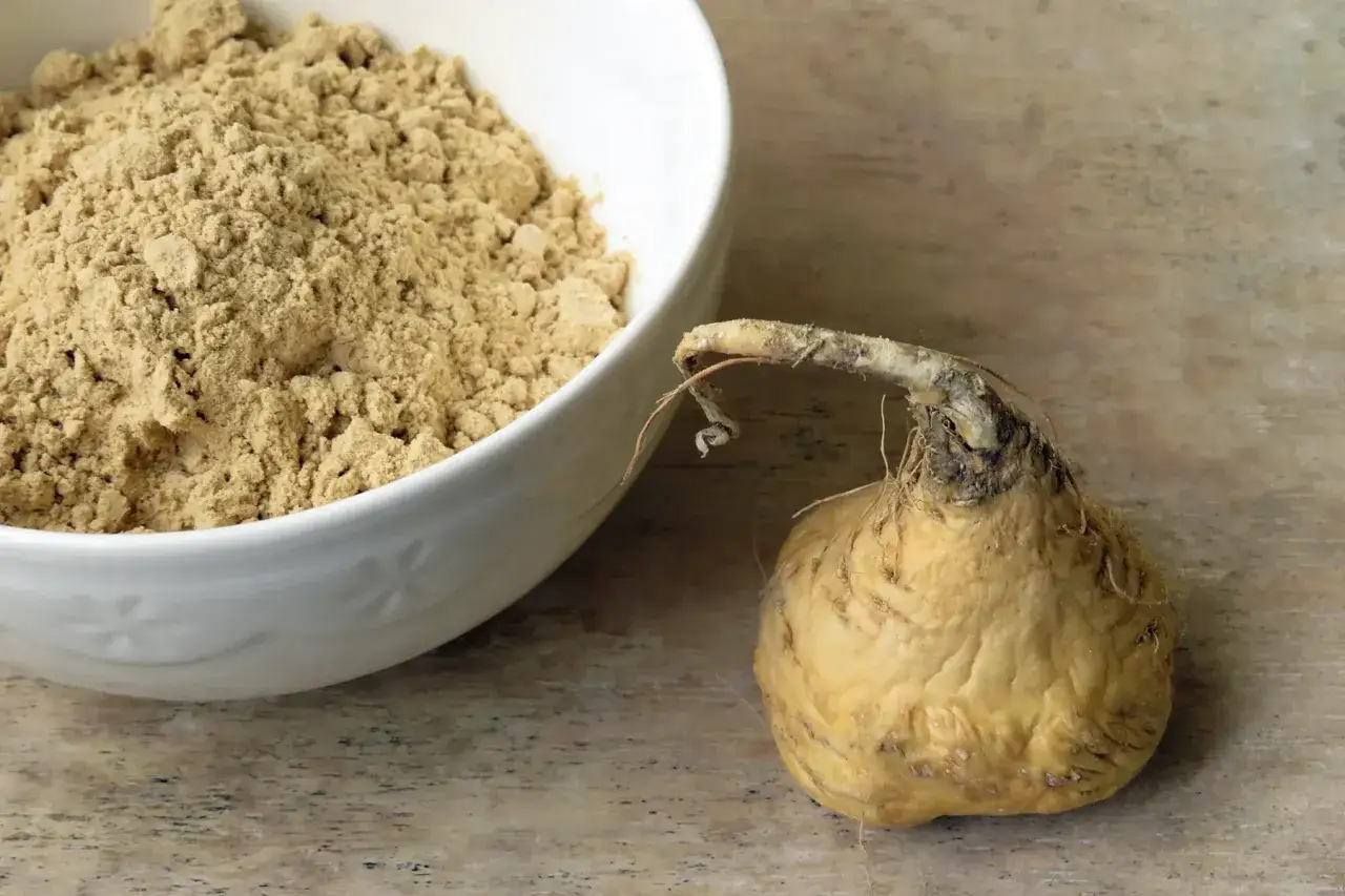 Maca, eine Wurzelknolle, und ihr Pulver in einer Sch&uuml;ssel. Maca co to jest? Dieses Superfood ist bekannt f&uuml;r seine Energie.